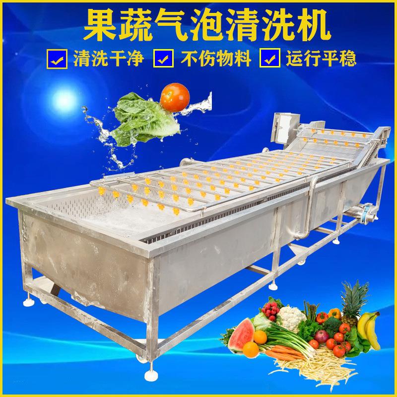 全自动洗药材机器小型中药材清洗机商用鼓风式柠檬清洗机