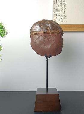 铁架艺支艺术创通用仿实木摆件托架石头奇石意底摆座树脂82259764