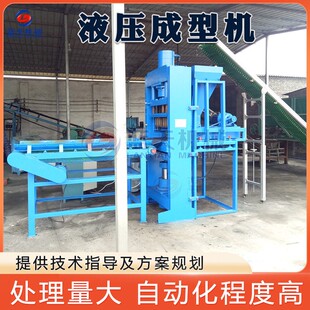 樟脑丸液压式成型机防蛀片生物质块营养块成型设备樟脑丸压块机