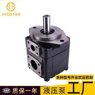 T6E液直供FSJ尼逊液压塑泵叶片丹泵注机等压泵