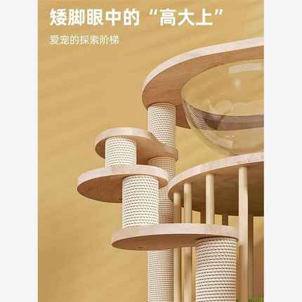 实木矮脚猫爬架猫窝太空舱猫树一体小型猫跳台幼猫玩具曼基康短腿