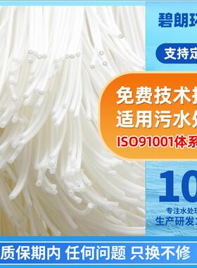 碧朗mbr膜浸入式中空纤维帘式膜丝PVDF复合膜mbr膜组件