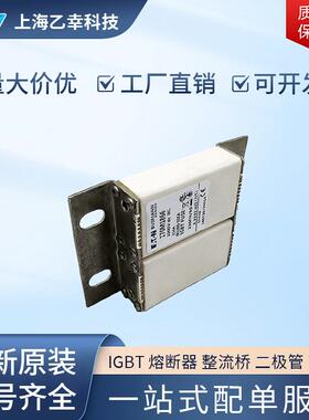 巴斯曼熔断器 170M1865 170M1866 170M1867 170M1868 170M1869