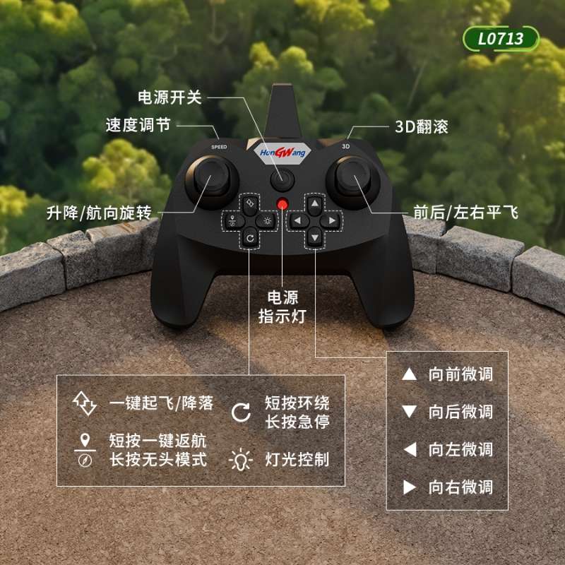 翼龙遥控飞机四轴飞行器仿真恐龙滑翔无人机男孩玩具儿童耐摔航模