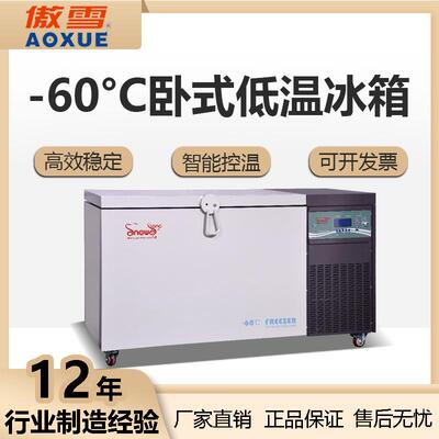 -60度低温工业冰箱冷冻冰箱零下60度卧式冰柜超低温储藏箱工厂