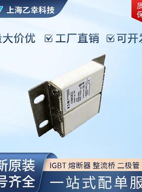 巴斯曼熔断器 170M1832 170M1833 170M1842 170M1843 170M1844