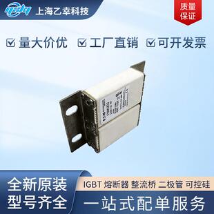 170M1842 巴斯曼熔断器 170M1832 170M1833 170M1844 170M1843