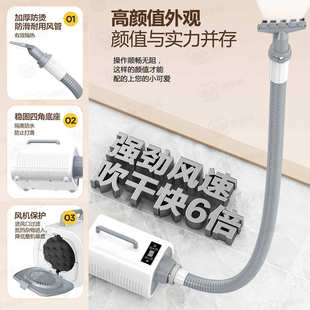 宠物吹风机家用狗大功率吹毛机大型犬宠物店专用吹水机吹干