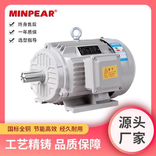 YE4二级能效卧式马达380V低噪纯铜铸铁2级4级6级8级电机