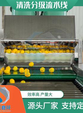 橙子柠檬洗小柑橘清洗分级食环流水线 金 沃小橘清分级柑流水线厂