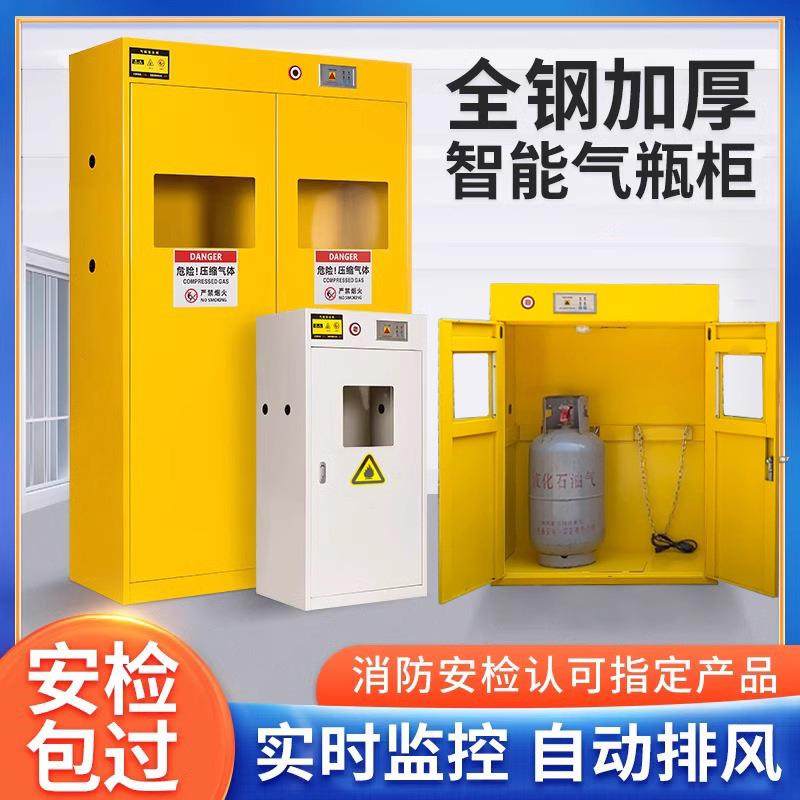 全钢防爆气瓶柜工业双瓶智能安全柜加厚煤气罐乙炔氢气柜氮气柜子
