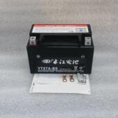 摩托车电池免维护铅酸蓄电池干电池电瓶弯梁踏板跨骑太子通用电瓶