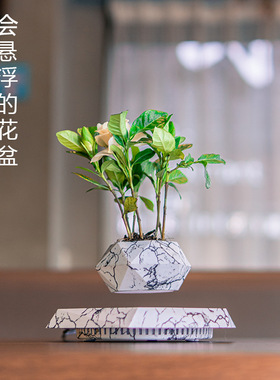 发包外贸盆栽磁悬浮代摆件货源创意厂家花盆源头邮磁悬浮