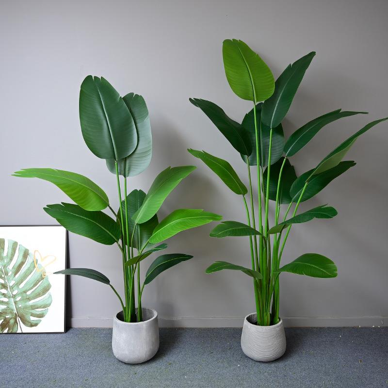 仿落绿植盆家栽RLV旅真人蕉人造树室内居客厅装饰品大型地树盆景