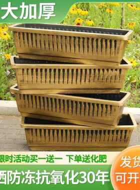 长方形花盆家用树脂塑料种菜专用箱阳台户外仿紫砂花箱长条种植箱