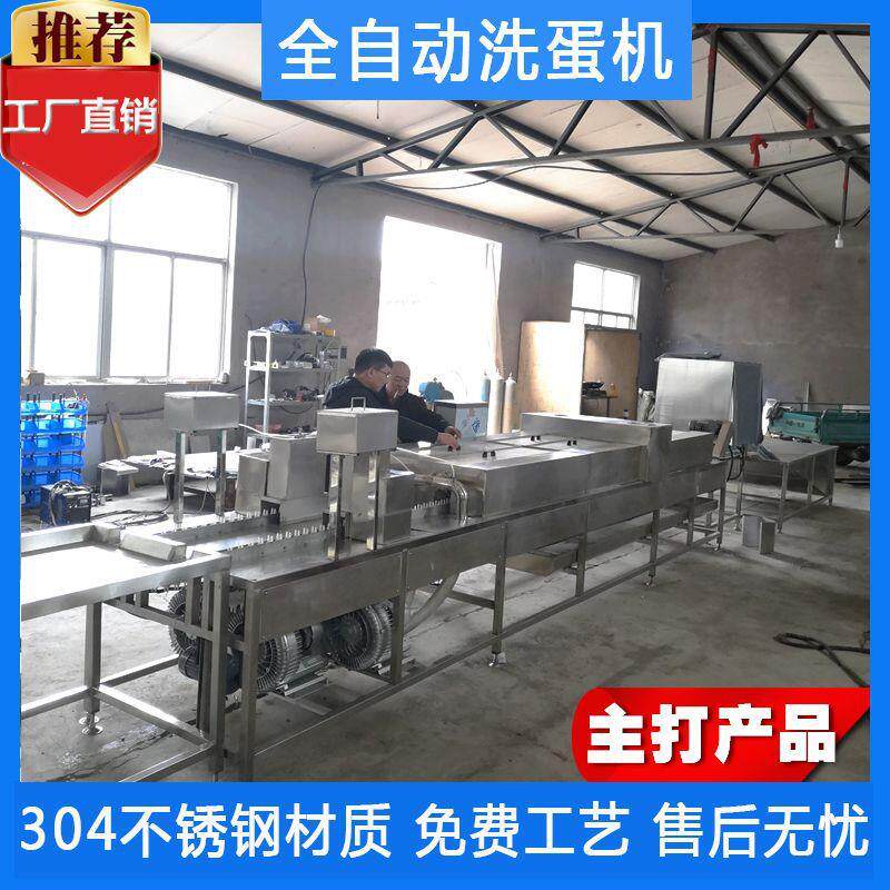山东洗蛋机厂家热水喷淋鸡蛋清洗机鸭蛋清洗风干机洗蛋机