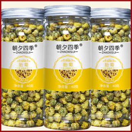 菊花茶桐乡胎菊王泡水罐装杭白菊花干搭枸杞决明子花茶