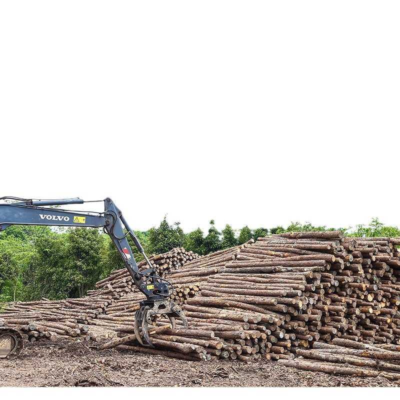 林场直发原木桩 防汛河道打桩木 建筑地基护坡工程木材家具松木桩,基础建材,原木板/实木板,淘宝优惠券,粉丝福利购,淘宝优惠卷