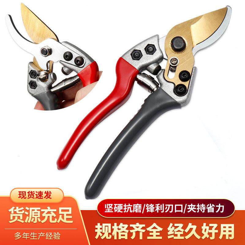 强力粗枝剪园林园艺修枝剪剪枝剪修剪刀工具多功能大力果枝