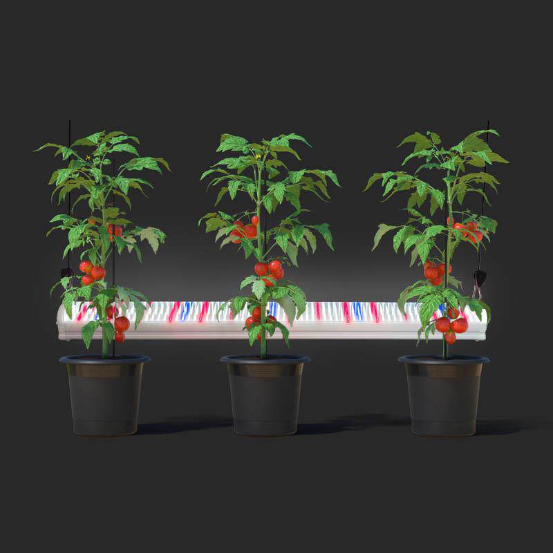 树下补光灯三面发光 LED全光谱大棚温室地上补光灯植物专用补光灯