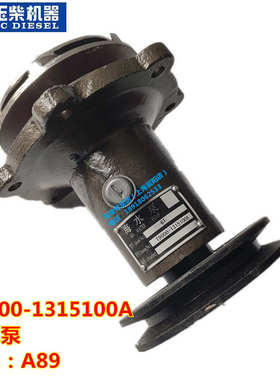 玉柴YC6T发动机海水泵泵头T9000-1315100发电机组船电专用代码A89