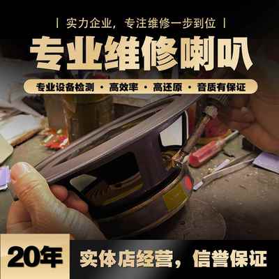 专业维修喇叭修复音圈换边泡沫边 专业舞台音响 汽车扬声器纸盆