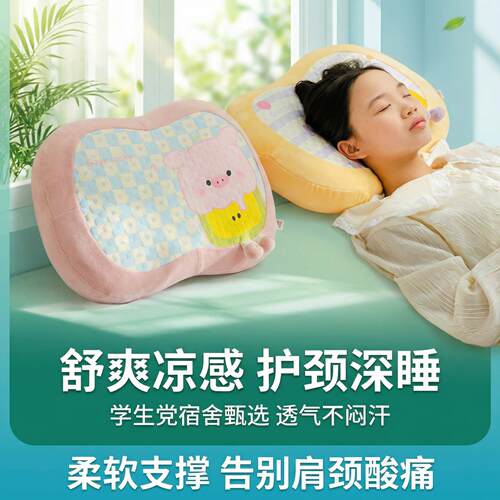 儿童枕头10岁以上学生专用护颈睡觉成人学生宿舍一只装夏天凉枕