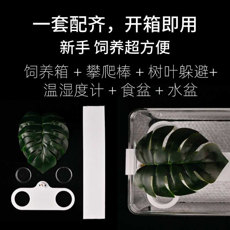 睫角守宫饲养箱盖勾亚巨人守宫饲养箱R属守宫饲养箱R属守宫攀爬架