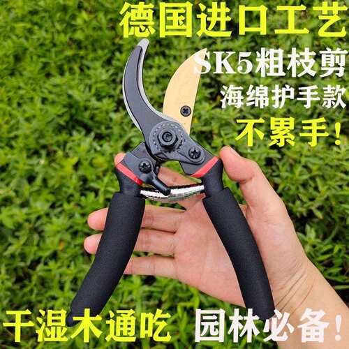 德国精工艺园林剪刀剪树枝专用剪刀修枝剪园林果树修花卉SK5剪刀