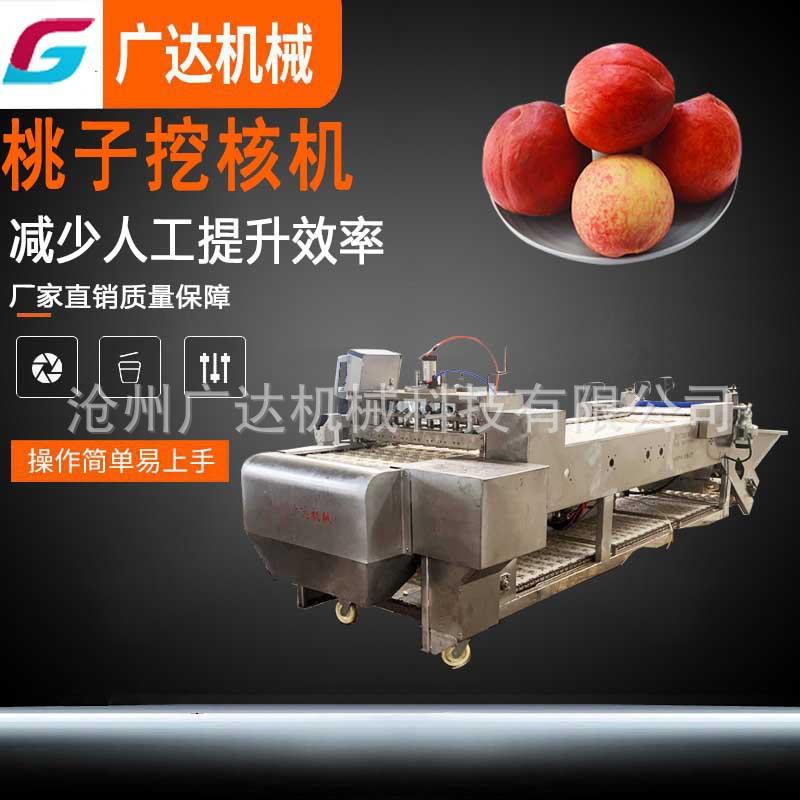 黄桃挖核机厂家直销桃子挖核机黄桃白桃挖核机罐头加工设备