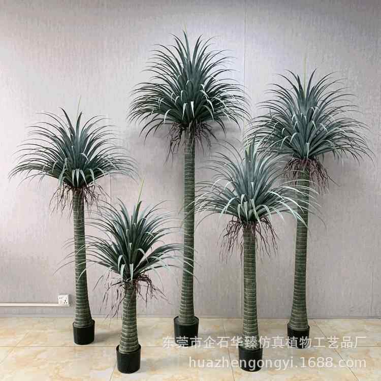 仿真丝兰树龙血树假树北欧热带植物龙血铁家居橱窗装饰龙须树