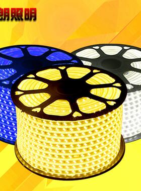 5730led双色变光灯带三色遥控变光软灯条防水装饰双排高亮220