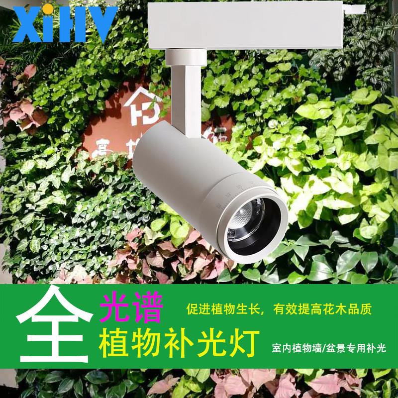 全光谱植物生长补光灯无极调焦植物墙罗汉松景观设计雨淋缸仿太阳