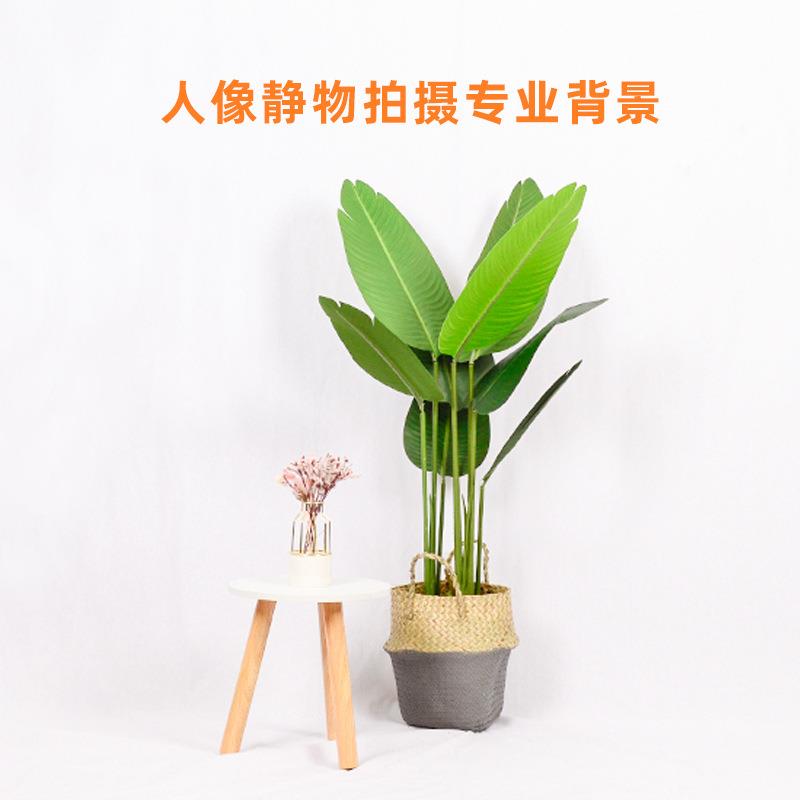 背景布 拍摄白色纯棉全棉3*3.6产地货源户外影楼摄影背景布供