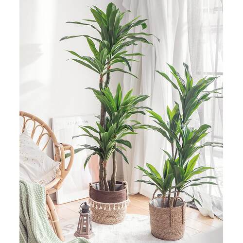 仿真植物假花绿植铁树大型落地盆栽装饰花卉家居装扮