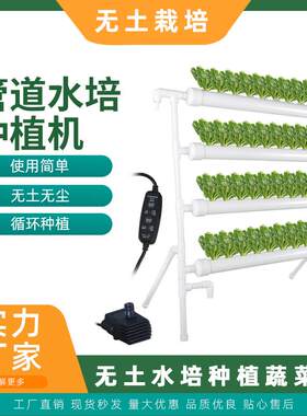 绿色水培蔬菜无土栽培塑料立体四层架子 营养液水杯海绵培养槽