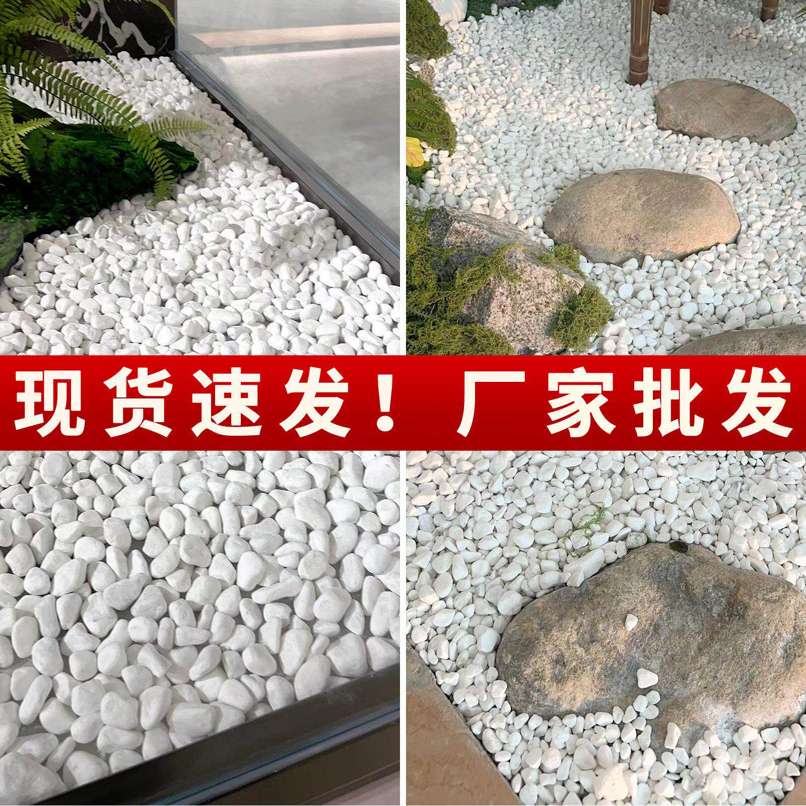 河南白色石子石头大鹅卵石庭院铺路铺地小白石头园林枯山水白石子