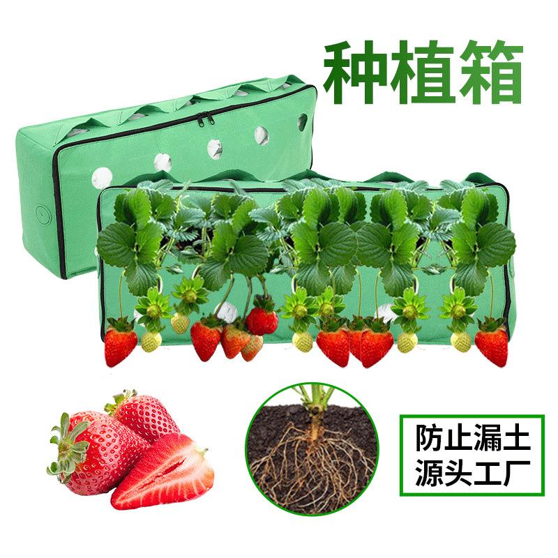 方形无纺布草莓种植箱加厚多口植物果蔬栽培生长育苗箱种植盆