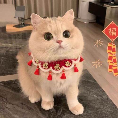猫咪围兜口水巾猫颈圈猫咪围兜领结装饰小猫围脖宠物狗狗项圈新年