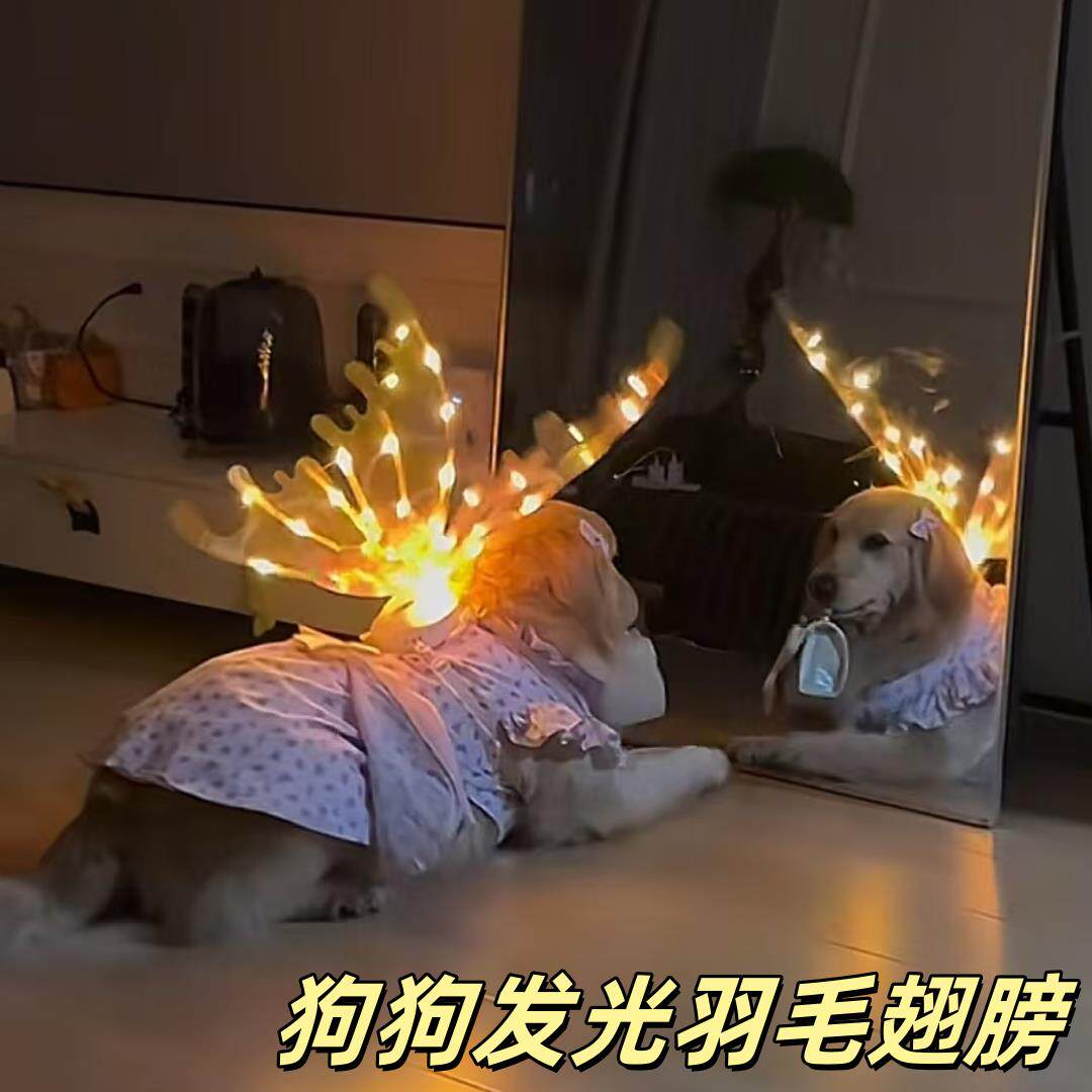 电动翅膀狗狗天使背饰会动的精灵羽翼会发光女生超仙创意礼物