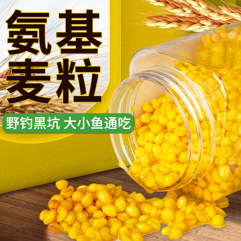 谷麦小麦钓铒料钓鱼饵麦粒鲫鱼鲤鱼鲢鳙野钓打窝麦子窝料鱼食鱼料