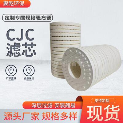 滤油机滤芯CJCF27/27 P5600505CJC B27/27 B15-25碟片滤油滤芯