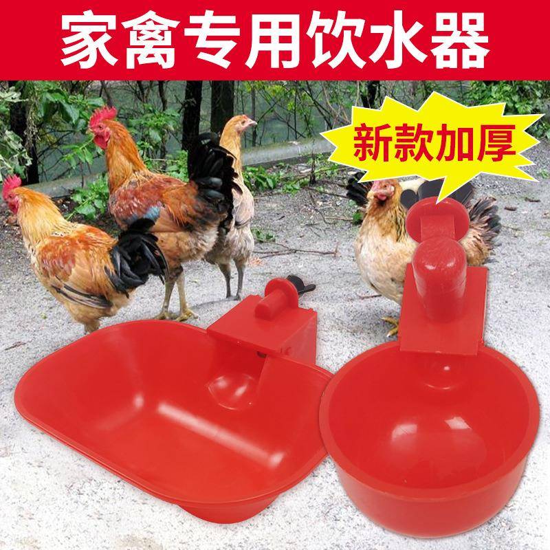 养鸡自动喂水器农槽食小鸡喝水饮水用鸡养鸭用饮水自动喂水100005