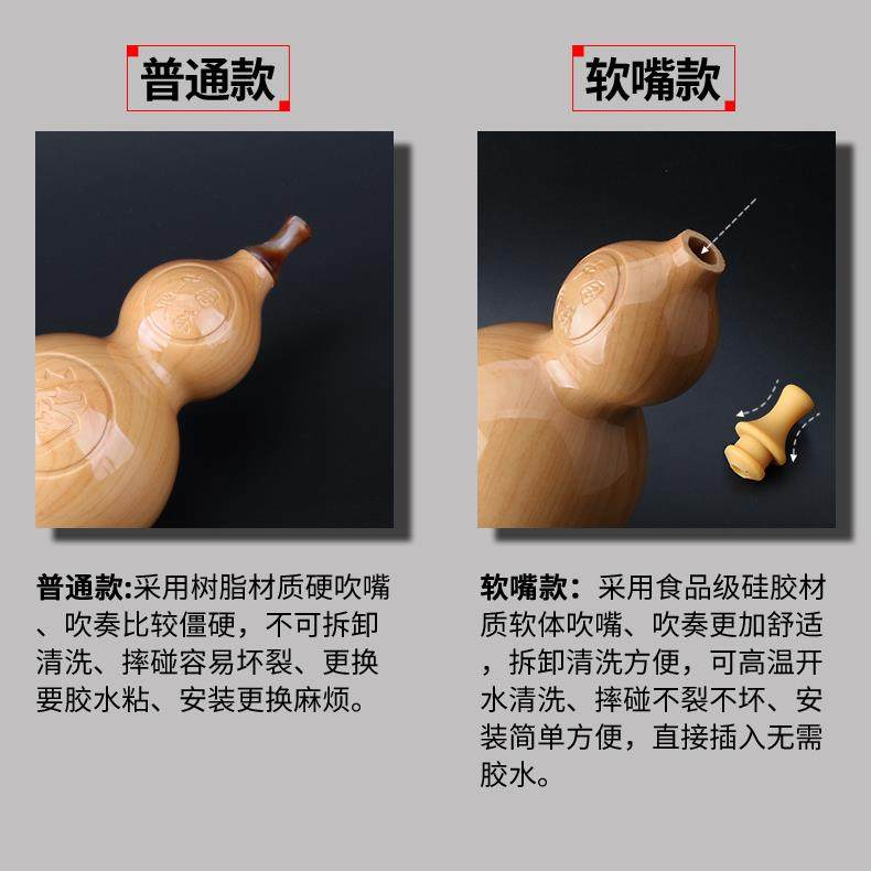 葫芦丝乐器初学者儿童C调降B调小学生专业演奏型胡芦丝成人自学