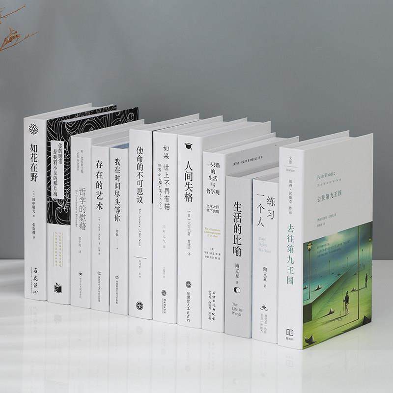 现代简约中文假书摆件装饰书彷真书创意饰品客厅书柜摆设模型道具,家居饰品,装饰摆件,淘宝优惠券,粉丝福利购,淘宝优惠卷