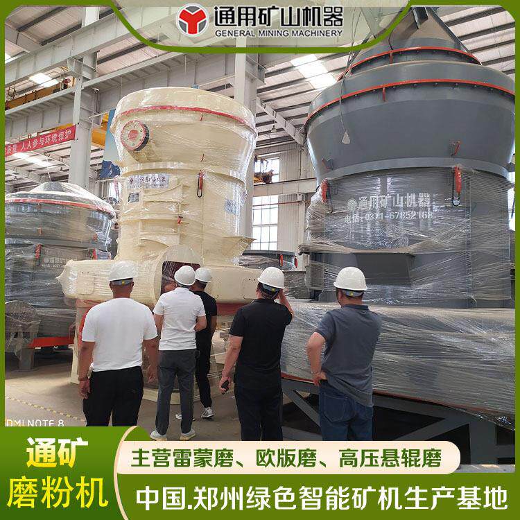 300目雷蒙磨粉设备生产厂家 压磨 生石灰YGM190