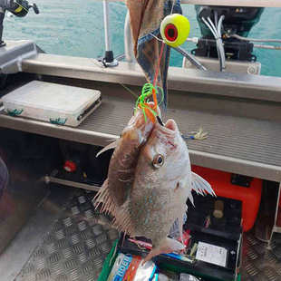 夜光珠克石斑海鳗慢摇铁板海钓炎月饵路亚胡须佬鱿鱼海鲈真鲷钓组