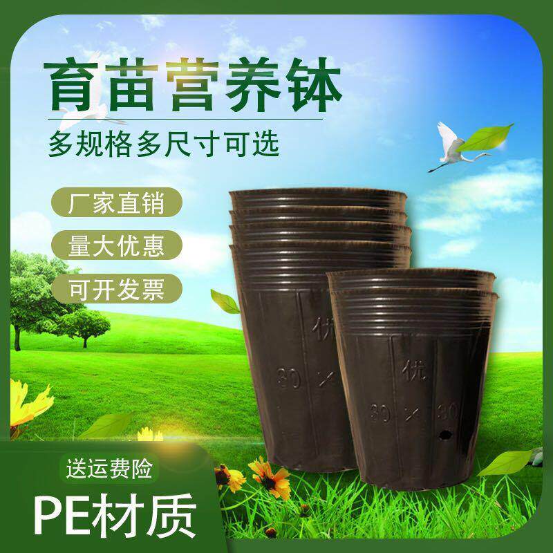 新款直销营养杯育苗杯大号加厚袋一次性塑料农用西瓜种植柑橘育苗
