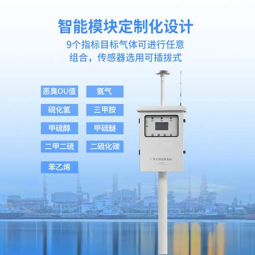 恶臭在线监测系统参数精度款带CCEP恶臭在线监测仪恶臭气象监测仪
