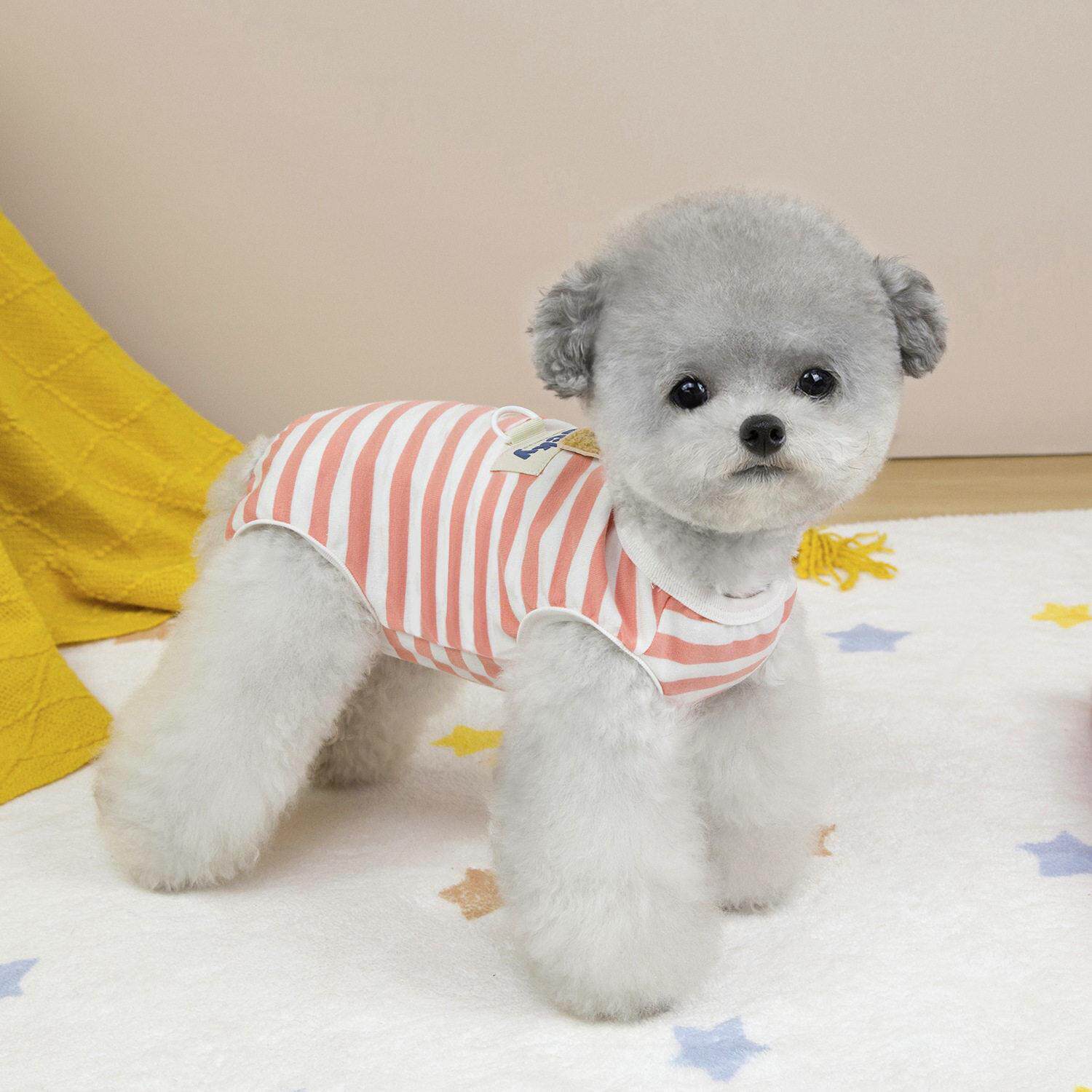 狗狗衣服护肚服春夏狗睡衣小型犬宠物绝育术后防护25女包肚背心